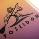 Доска для серфинга SUP-Board (САП-доска) Poseidon SP-320-15S Pegasus