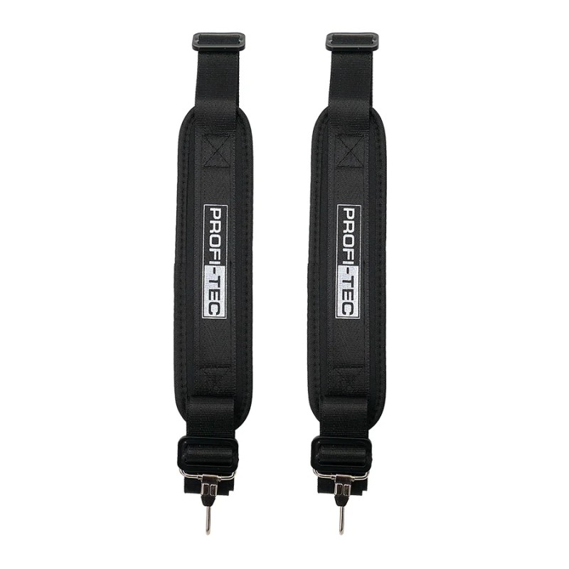 Аккумуляторный опрыскиватель PROFI-TEC PS-10L/20V (20 В, бак 10 л, давление 4.0 бар, 2.9 л/мин) 1×PT2020VX (2.0 Aг), ЗУ BC10, насадки, коробка