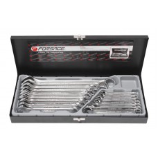 Набор ключей комбинированных 16пр. (6-19, 17,22, 24мм) в металлическом кейсе Forsage F-5161