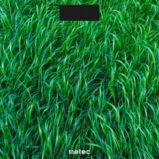 Весы электронные напольные DBS-01G Grass Metec