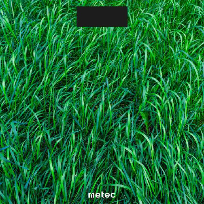 Весы электронные напольные DBS-01G Grass Metec