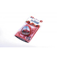 Ароматизатор CAR GEL дикі ягоди (Wildberries) (овал на підвісці)